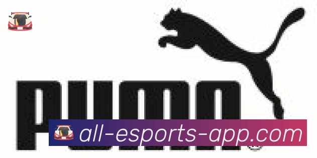 DOTA竞猜合作伙伴